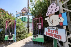 Israel in cold war over Ben & Jerry's ice cream ban