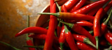 Capsaicin: the Chili Pepper’s Spicy Irony