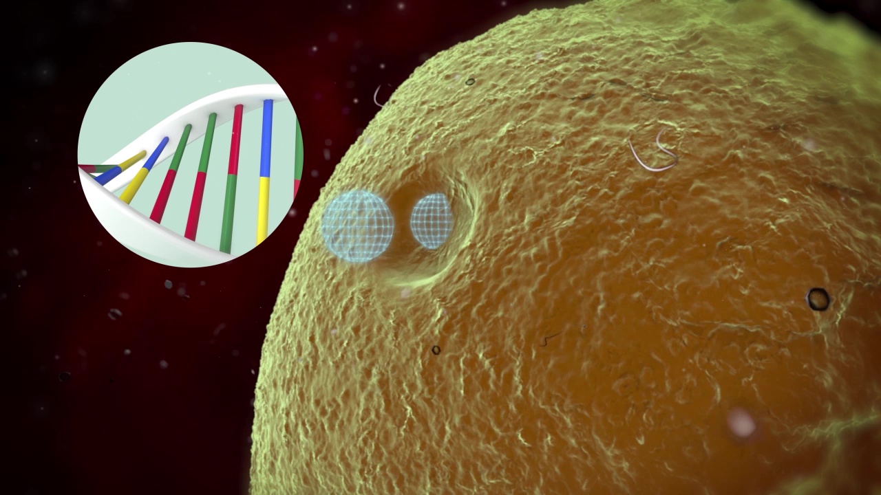 Messenger RNA Vaccines