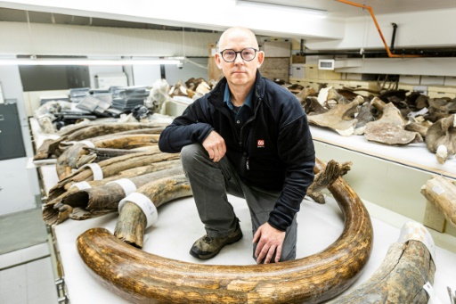 In the footsteps of a woolly mammoth, 17,000 years ago