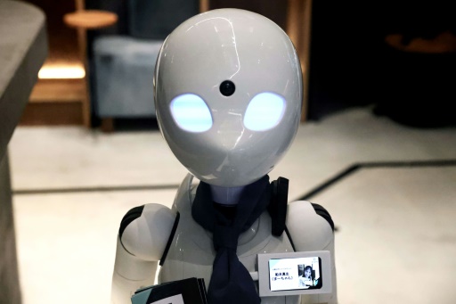 Tokyo robot cafe offers new spin on disability inclusion