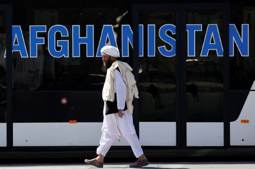 Taliban to 'temporarily' adopt monarchy constitution, with caveats