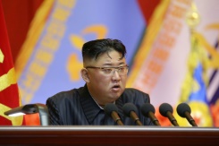 North Korea appears to have restarted nuclear reactor: UN agency