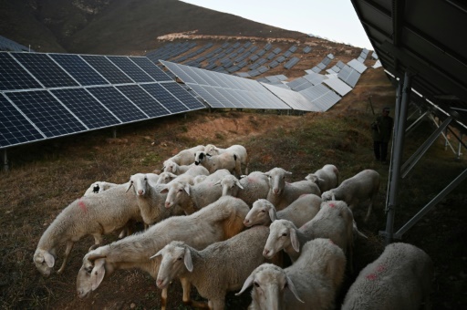 Human cost of China's green energy rush ahead of Winter Olympics