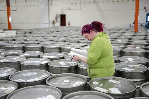 Sticky situation: Canada taps maple syrup reserves to meet soaring demand