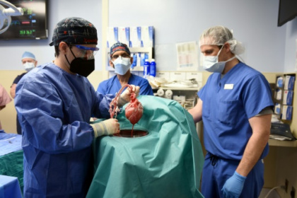 US surgeons successfully implant pig heart in human.jpg