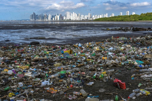 World must work together to tackle plastic ocean threat: WWF