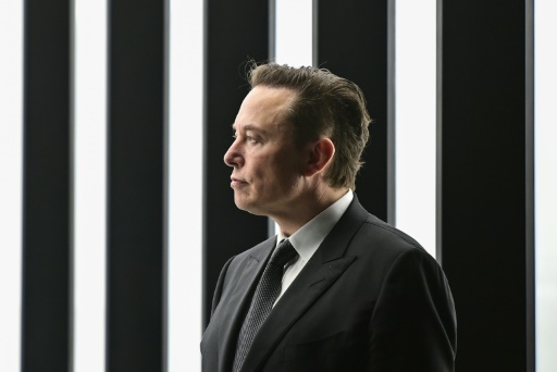 Musk-ruled Twitter: users left to fight trolls and misinformation?