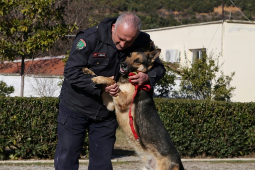 Settling Albania's 'hero' police dogs into retirement