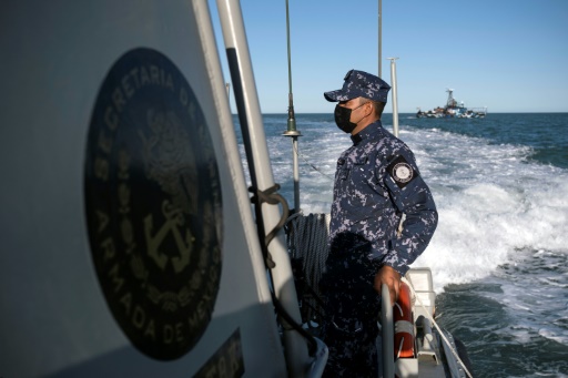 Mexico seeks 'miracle' to save near-extinct vaquita porpoise