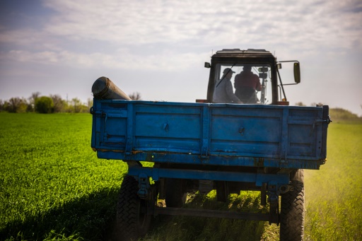 Ukraine's farmers risk death in bomb-strewn fields