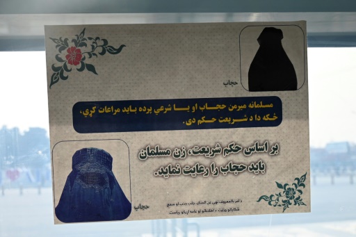 Taliban ban Afghan women from flying without male relative