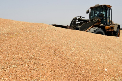 UN urges Ukraine grain release, World Bank pledges extra $12 bn.jpg