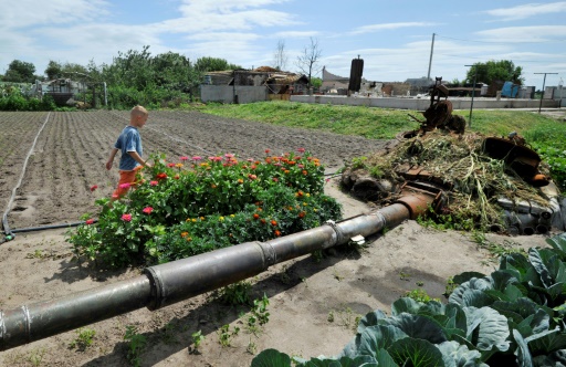 Ukraine grain deal expected Friday as Russian gas flows resume