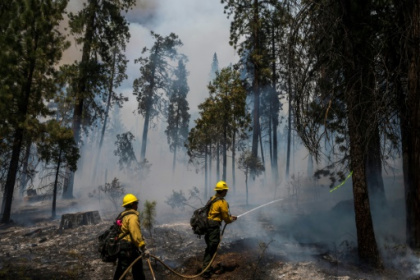 US firefighters race to protect Yosemite's giant sequoias.jpg