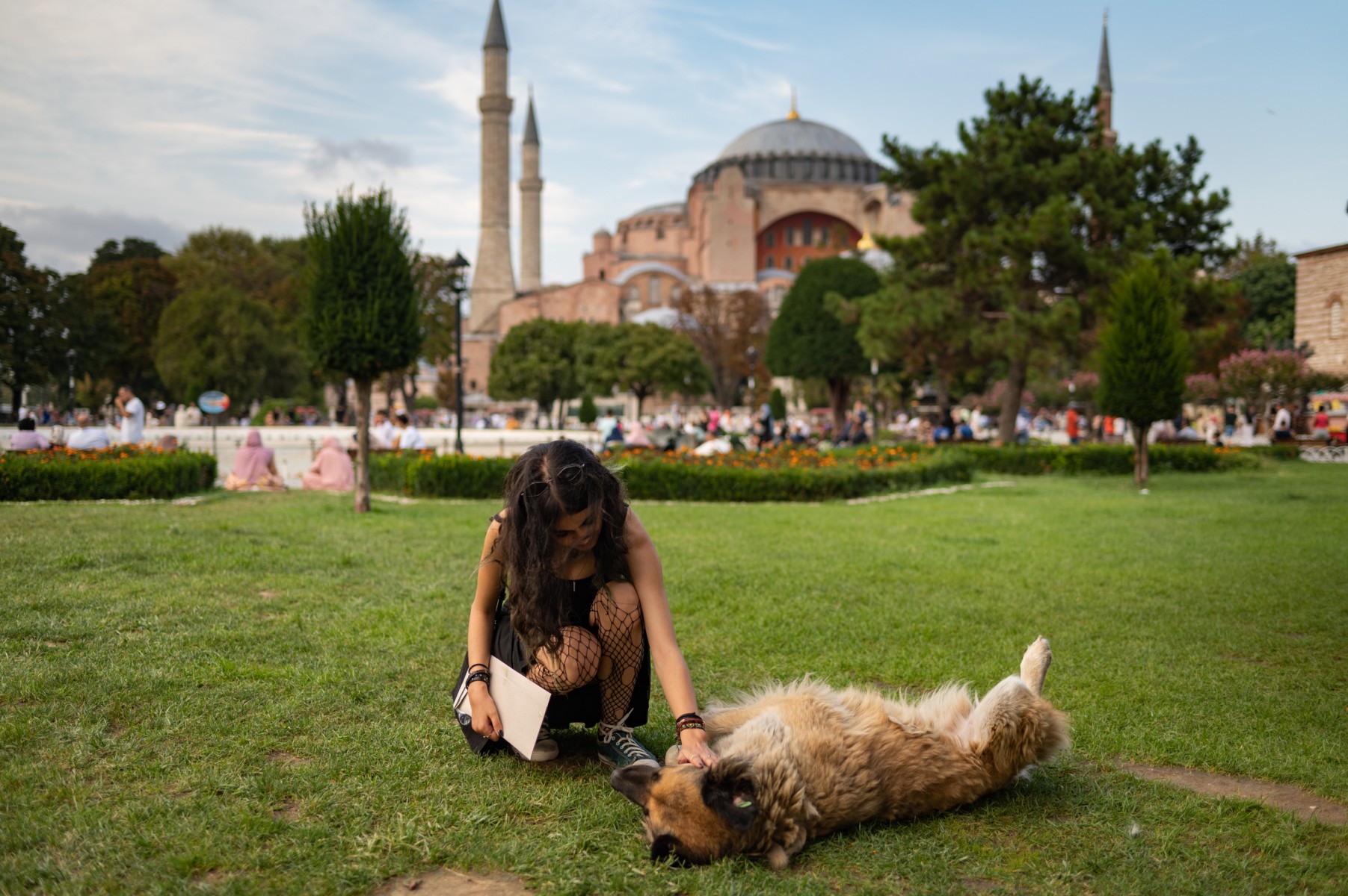 Century on, political fights rage over Turkey's dogs