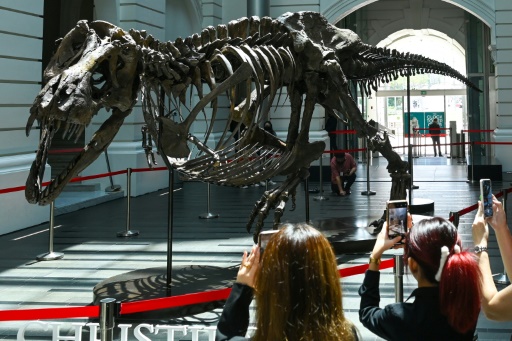 Christie's cancels controversial T-rex auction in Hong Kong
