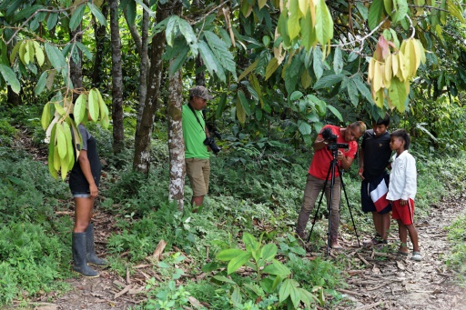 Indigenous film bringing cross-border Amazon tribes together