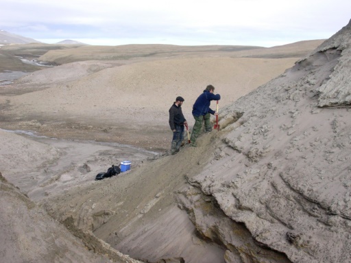 Scientists find 2-million year-old DNA in Greenland