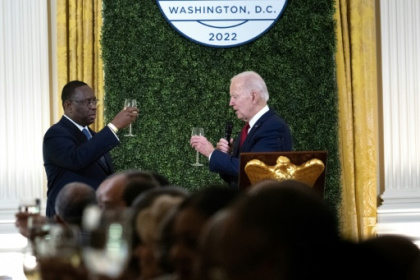 Biden seeks principled Africa partnership as US businesses pour in.jpg