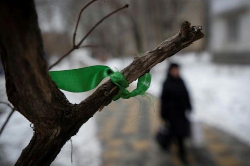 On walls and park benches: Moscow's silent calls for peace