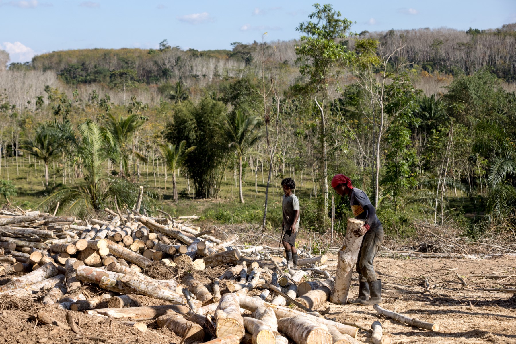 Thai farmers tap into sustainable rubber industry