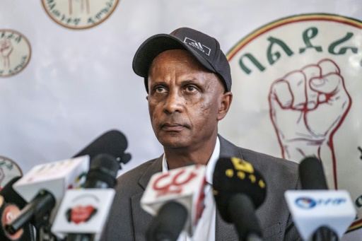 Ethiopian dissident Eskinder Nega arrested: political party