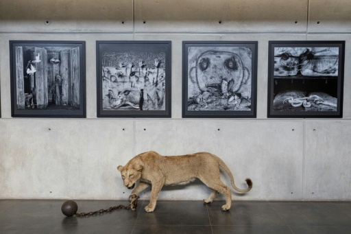 South Africa art show highlights destructive ties between Man and Nature