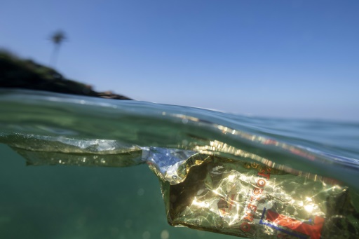 Rise in ocean plastic pollution 'unprecedented' since 2005