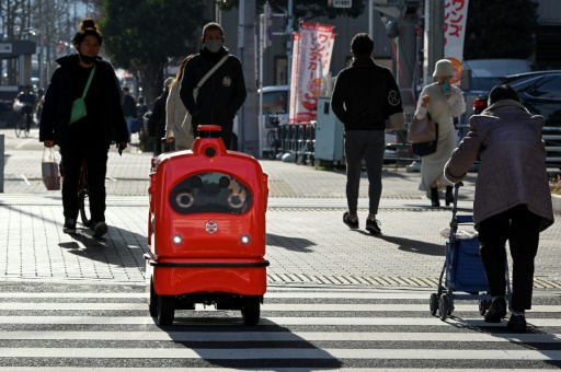 Japan rolls out 'humble and lovable' delivery robots