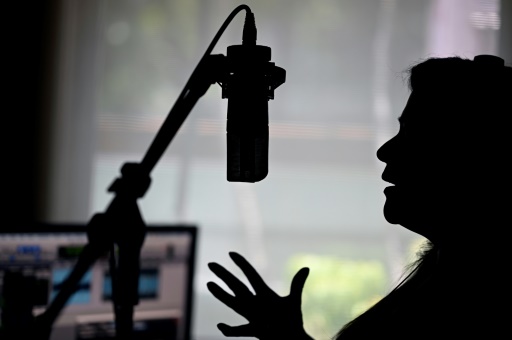 'Don't steal our voices': dubbing artists confront AI threat