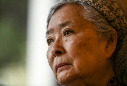 The Vietnamese octogenarian fighting for Agent Orange victims.jpg