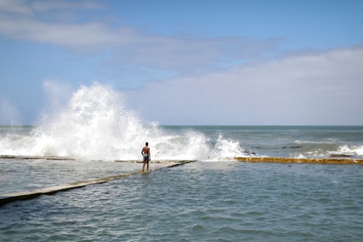 High seas treaty moves closer to reality with first signatures