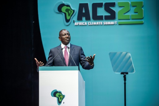 Africa seeking to tap investment on climate action