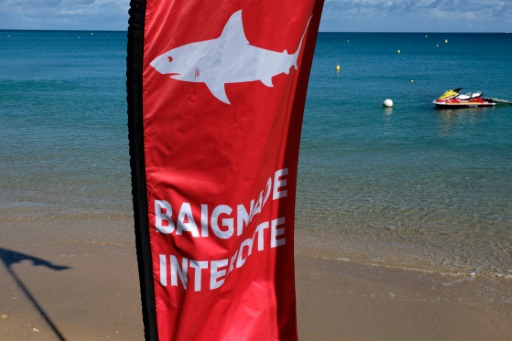 French Pacific archipelago divided over shark hunt