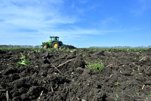 Polish farmers warn of EU threat from Ukraine grain