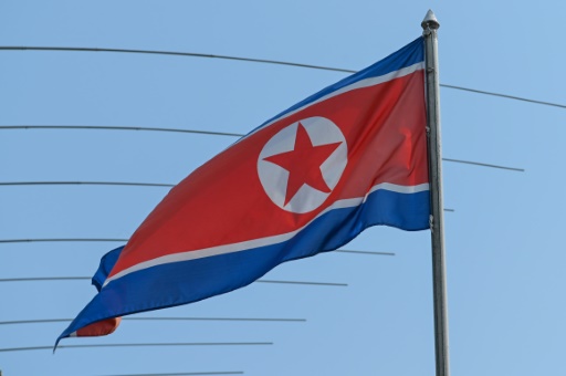 'Dire' economy prompts mass North Korean embassy closures