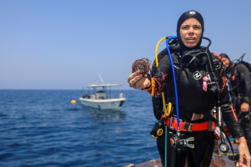 Volunteer divers guard Oman's 'unique' coral reefs