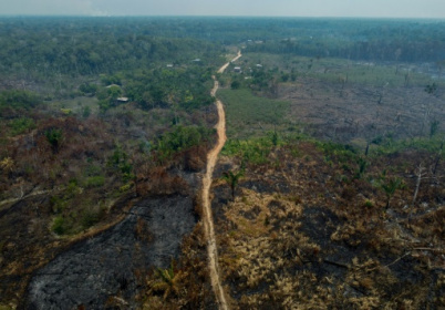 Deforestation in Brazilian Amazon down 22% in a year.jpg
