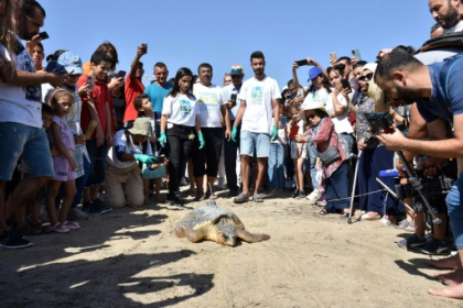 Endangered sea turtles get second life at Tunisian centre.jpg