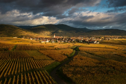 Alsace celebrates its 'Route des vins'.jpg
