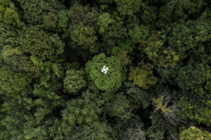 Drones help solve forest carbon capture riddle.jpg