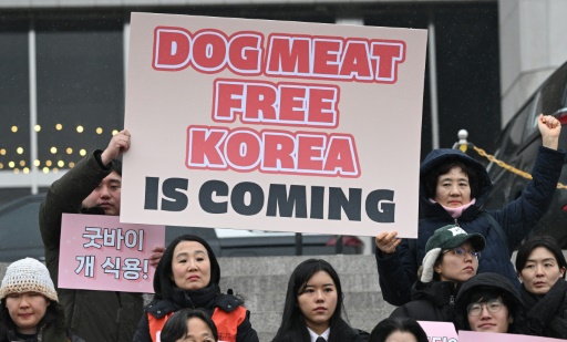 South Korea parliament passes bill banning dog meat trade