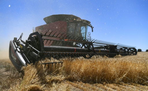 Chinese appetite for Australian barley is back