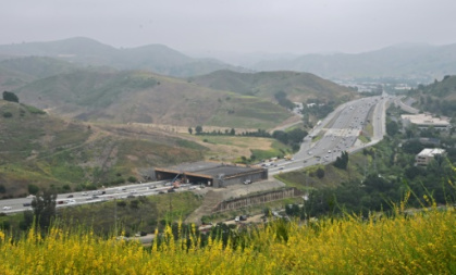 Highway bridge aims to save California's cougars.jpg