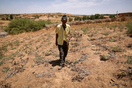 Crucial farm jobs dry up in drought-stricken Morocco.jpg