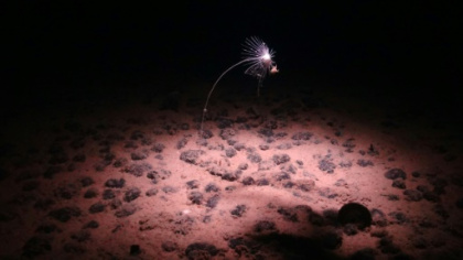 Deep ocean 'dark oxygen' find could rewrite Earth's history.jpg
