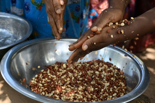 Australia launches landmark peanut allergy treatment for babies