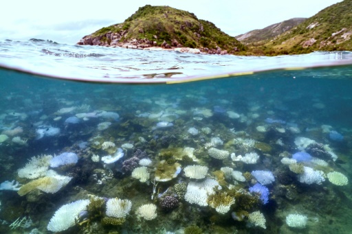 Australia tackles poor Great Barrier Reef water quality