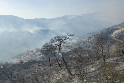 Forest fires in Turkey under control.jpg